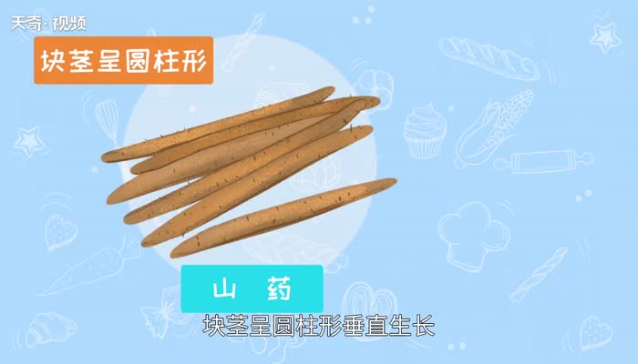 山药是什么 山药是什么东西