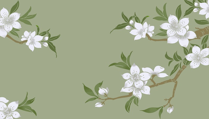 广东五花茶是哪五花 五花茶是什么