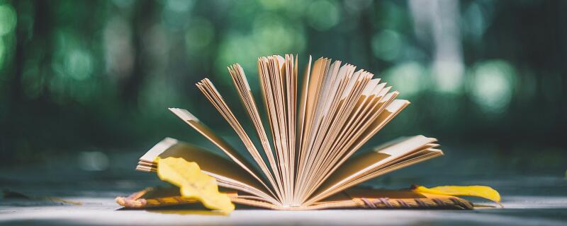 茜读xi还是qian 茜应该读什么