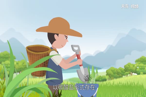 草木灰的主要成分 草木灰的主要成分有哪些