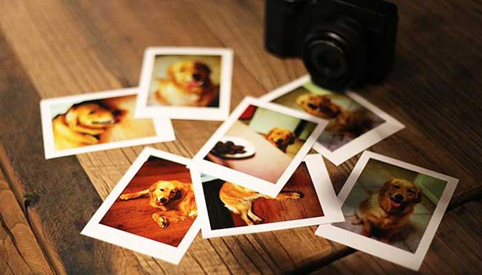 五寸照片大小 五寸照片大小是多少