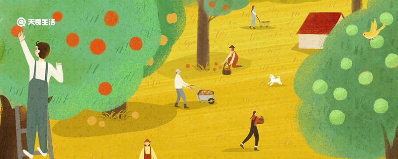 拐枣是哪里的特产 拐枣是哪里的特色产品