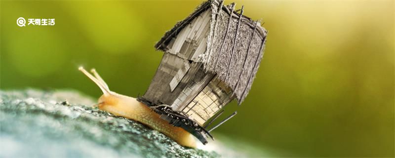 蜗居什么意思 蜗居什么意思网络用语