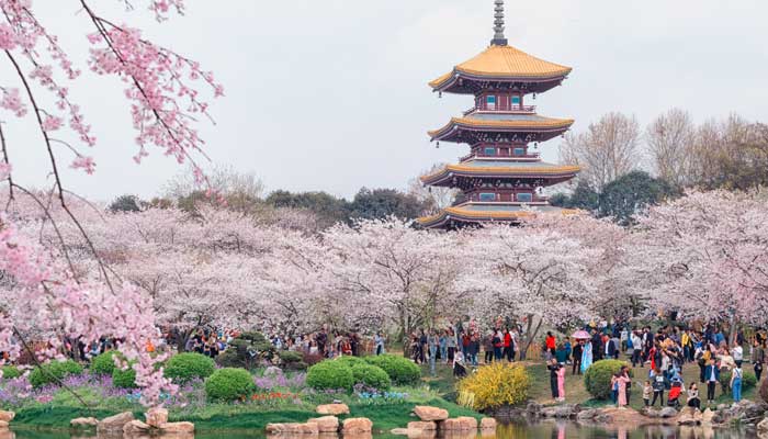 湖北武汉人口2019总人数口 2019湖北武汉总人数口