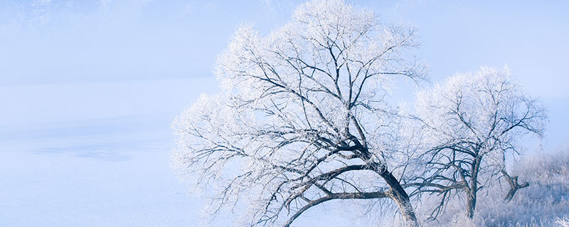 瑞雪兆丰年的下一句 瑞雪兆丰年下一句农谚