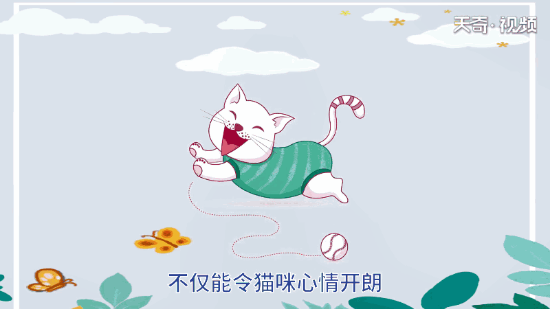 猫为什么掉毛很厉害 猫为何掉毛很厉害