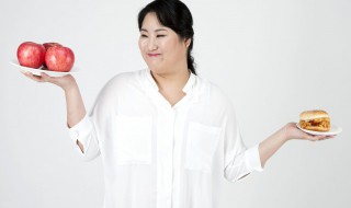 胖子的自律方法（自律的胖子有多可怕）