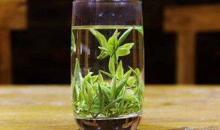 识别绿茶的最佳方法（如何识别绿茶的招数）