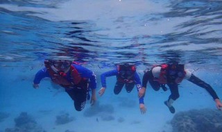 潜水打鱼的正确方法 潜水打鱼的正确方法图片