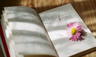 关于经典人生语录 关于经典人生语录的句子