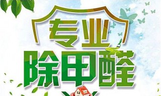 什么可以除甲醛又快又好（什么东西可以除甲醛又快又好）