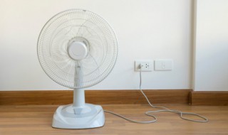 风扇如何清洗（布鲁雅尔净化器风扇如何清洗）