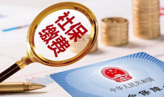 社保怎么缴纳（自己怎么缴纳社保个人怎么交社保）