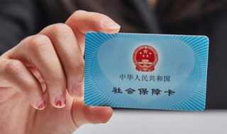社保怎么查询个人账户 农村社保怎么查询个人账户