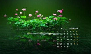2020年9月宜嫁娶的日子 2020九月二十九日宜嫁娶吗?