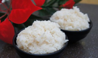 减肥是吃肉不吃米饭吗（为什么吃肉不吃米饭就能减肥）