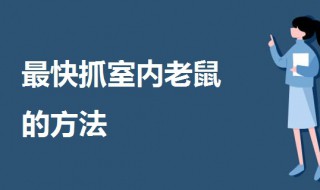 最快抓室内老鼠的方法（最快抓室内老鼠的方法视频）