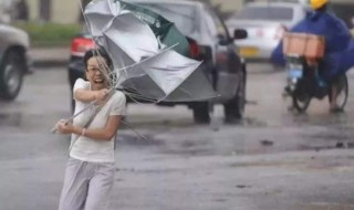台风天气为什么不能吃海鲜（台风天气为什么不能吃海鲜呢）