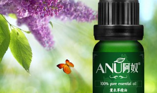 薰衣草精油的作用 薰衣草精油的作用和功效使用方法