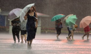 梦见狂风暴雨 梦见狂风暴雨把树给刮断了
