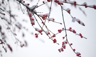 梦见下大雪（梦见下大雪是什么征兆 男性）