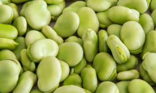新鲜蚕豆米保鲜方法 蚕豆米的保鲜方法