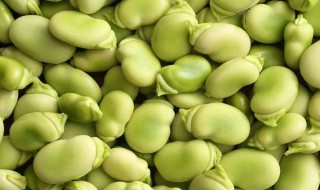蚕豆冷冻保存的方法（蚕豆冷冻保存的方法 小说）