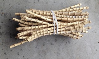 怎样正确判断竹鞭的位置 怎样正确判断竹鞭的位置图片