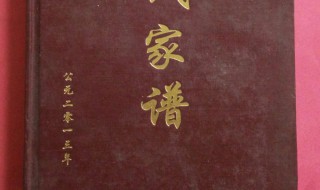 家谱如何写才是正确（家谱应该怎样写）