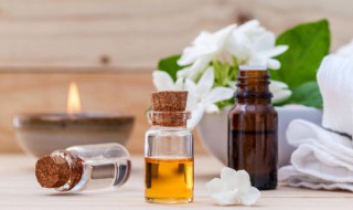 茉莉精油的功效与用法（茉莉精油的功效与用法用量）