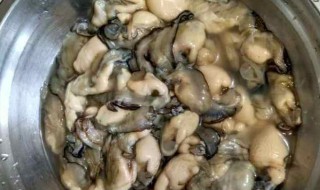 海蛎如何清洗（海蛎如何清洗才干净）