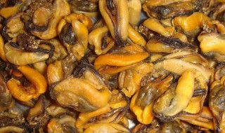 淡菜如何清洗（淡菜如何清洗处理）