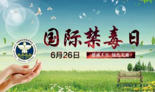 国际禁毒宣传标语（国际禁毒宣传标语大全）