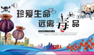 学校禁毒宣传文案（校园禁毒文案）