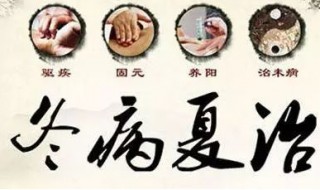 什么是三伏调理 三伏天调理什么最好
