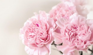 送母亲鲜花送什么花（送母亲鲜花送什么花生日）