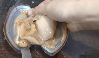 河蚌如何清洗（河蚌如何清洗才干净）