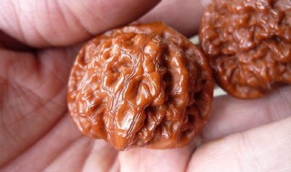 文玩核桃如何清洗（文玩核桃如何清洗缝隙）