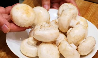 口蘑里面发黑还能吃吗 口蘑里面发黑还可以吃吗
