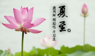 夏至什么时候 夏至什么时候入伏