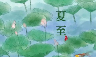 夏至后面的节气是什么 夏至后面的节气是什么时候