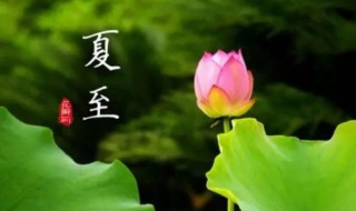 夏至是夏天结束了吗（夏至是夏天结束了吗英语）