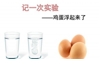 鸡蛋浮水的原理是什么（鸡蛋浮水的原理是什么100字）