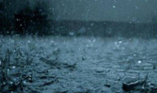 下雨之前的自然现象 下雨之前的自然现象图片