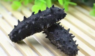 如何清洗干海参 海参怎么清洗才干净