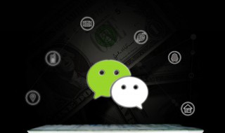 电脑微信怎么加人 微信电脑版怎么加好友