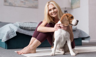 遛狗不拴绳该怎么办 遛小狗不栓绳