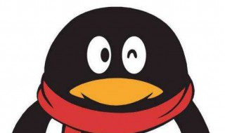 qq怎么推荐好友（qq怎么推荐好友到空间）