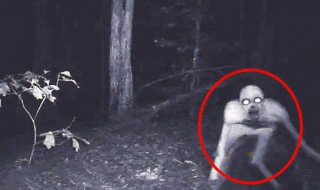 十大神秘生物 十大神秘生物美人鱼