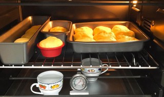 烤箱发酵功能怎么用 格兰仕烤箱发酵功能怎么用